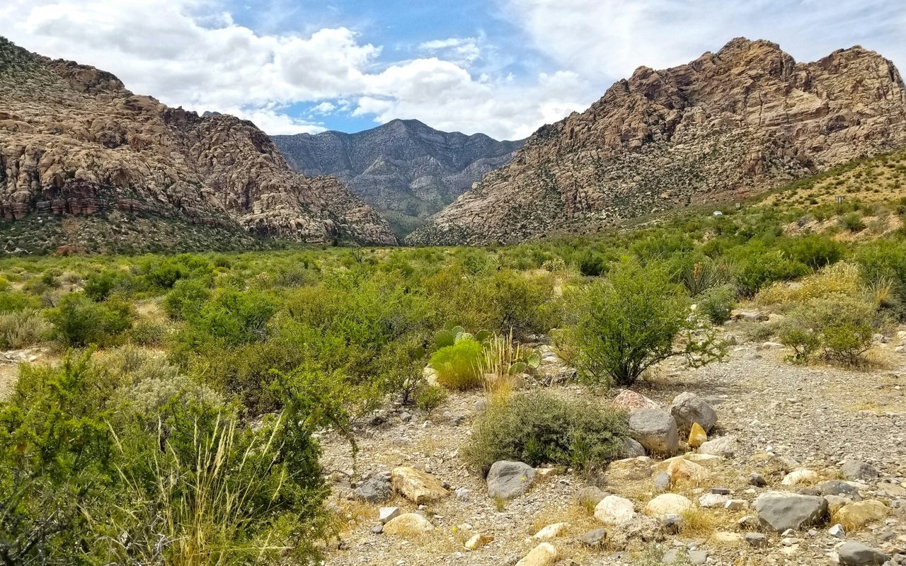 Arrow Creek