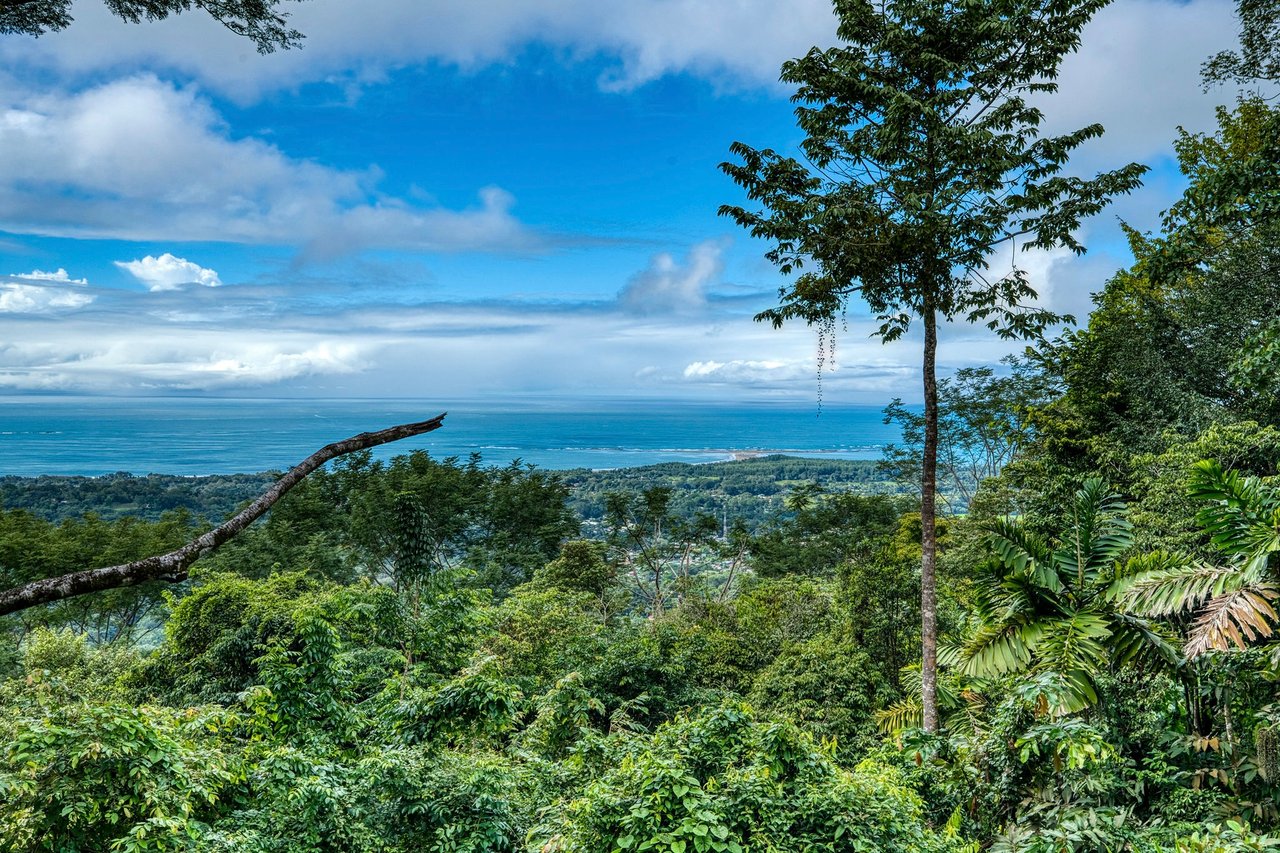 WONDROUS WHALE’S TAIL OCEAN VIEW HOME ABOVE UVITA