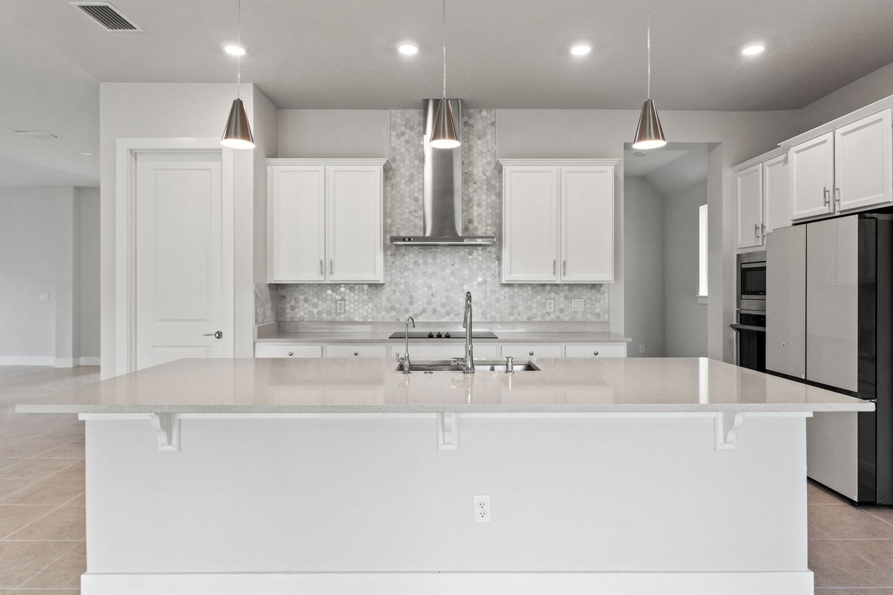 Move-In Ready Rental with Lagoon Access in Wesley Chapel