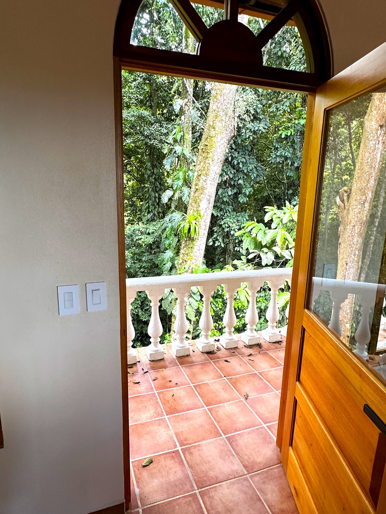 FIRE SALE! Jungle, Rivers, a Waterfall and Panoramic Ocean View
