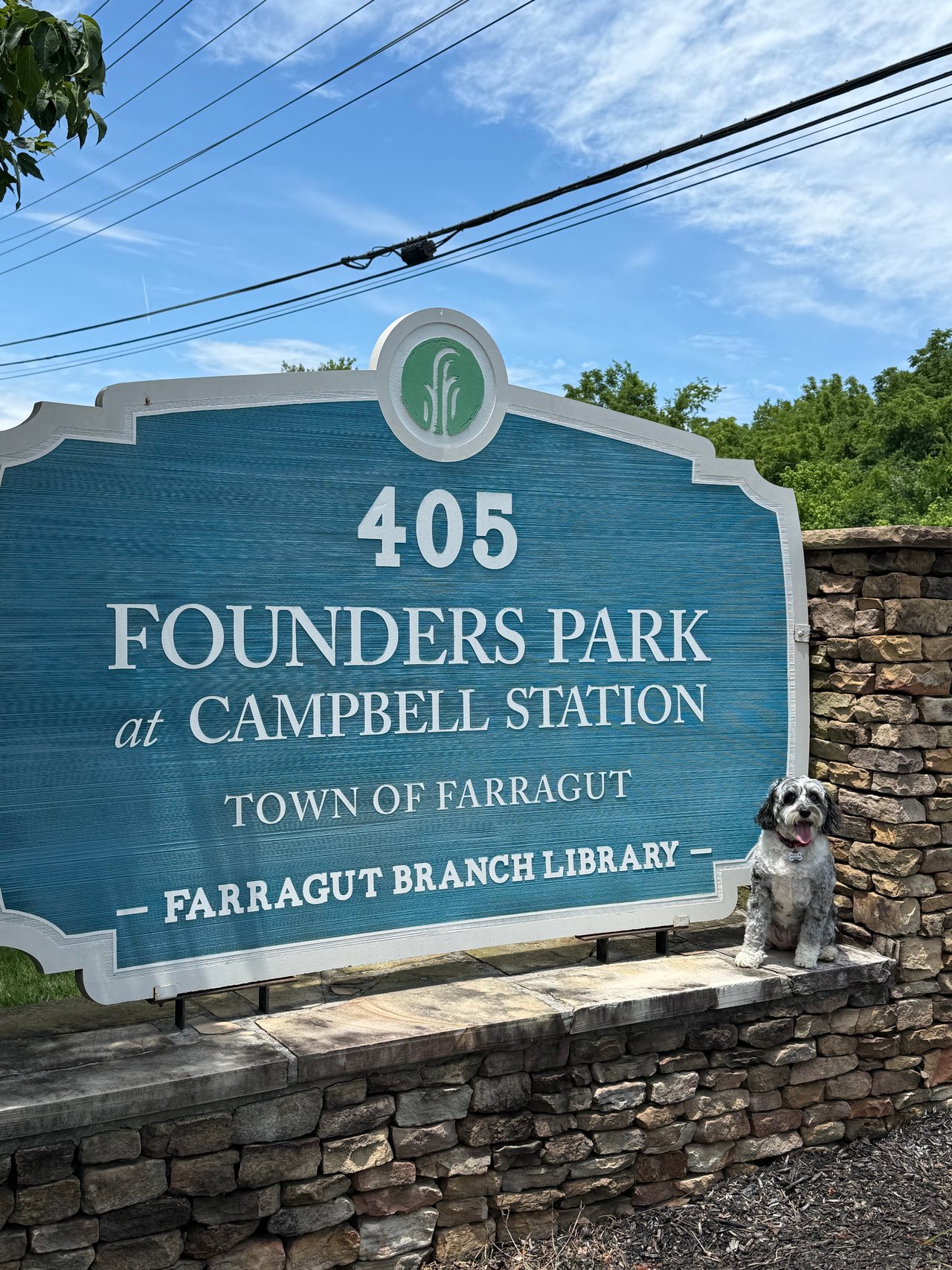 Molly's Favorite Farragut Parks