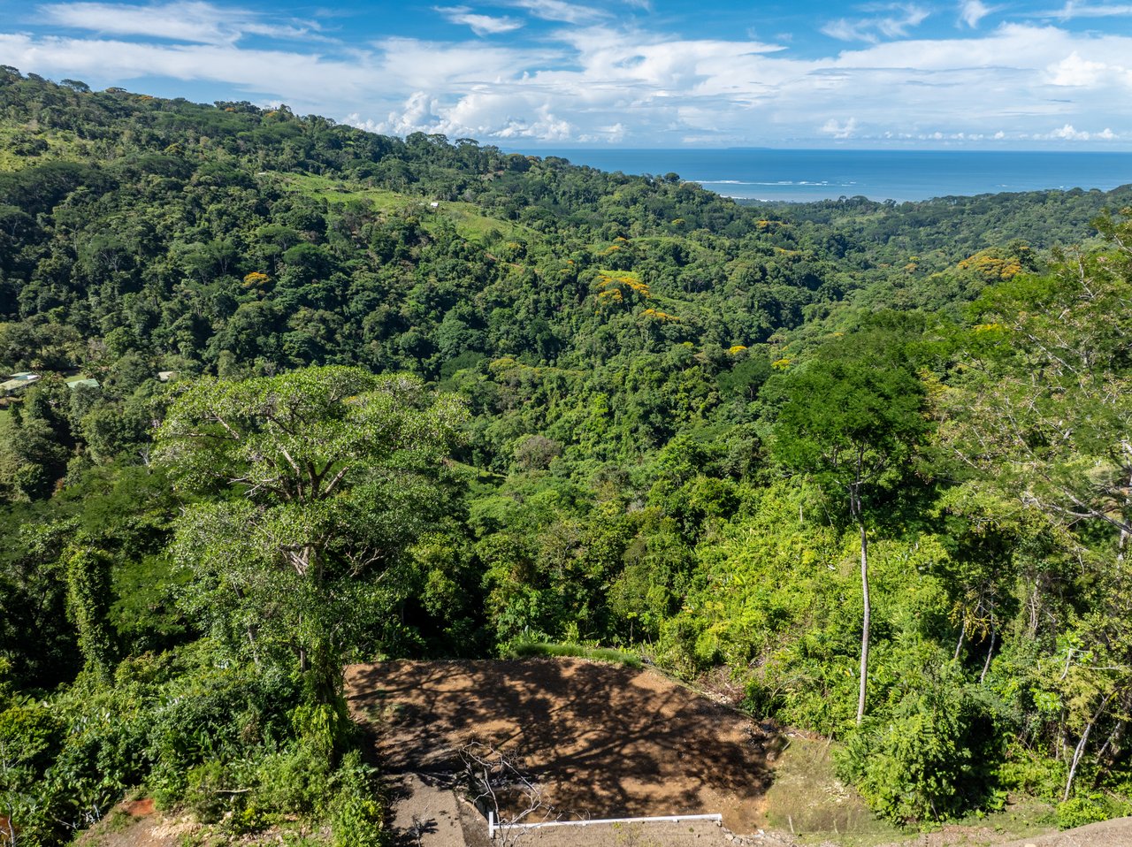 Private 5-acre Riverfront Property with Ocean & Mountain Views | San Josecito
