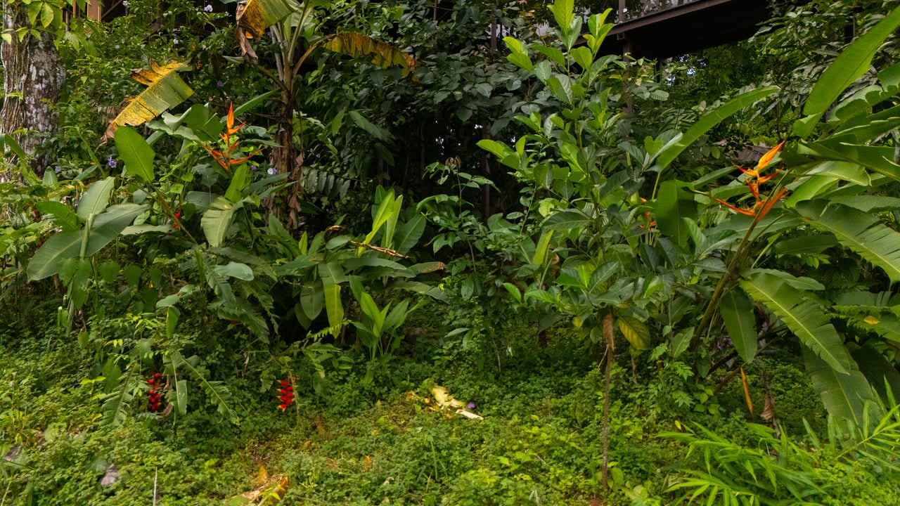 Where the Journey Begins | Private Jungle Estate at Nauyaca Waterfalls