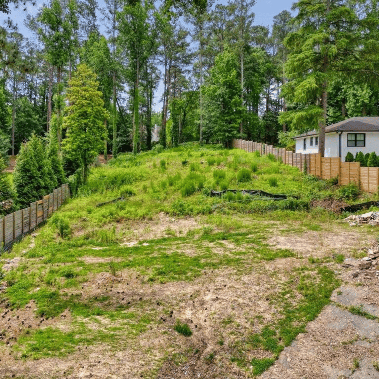 Case Study: Crafting a Winning Marketing Plan for a Vacant Lot