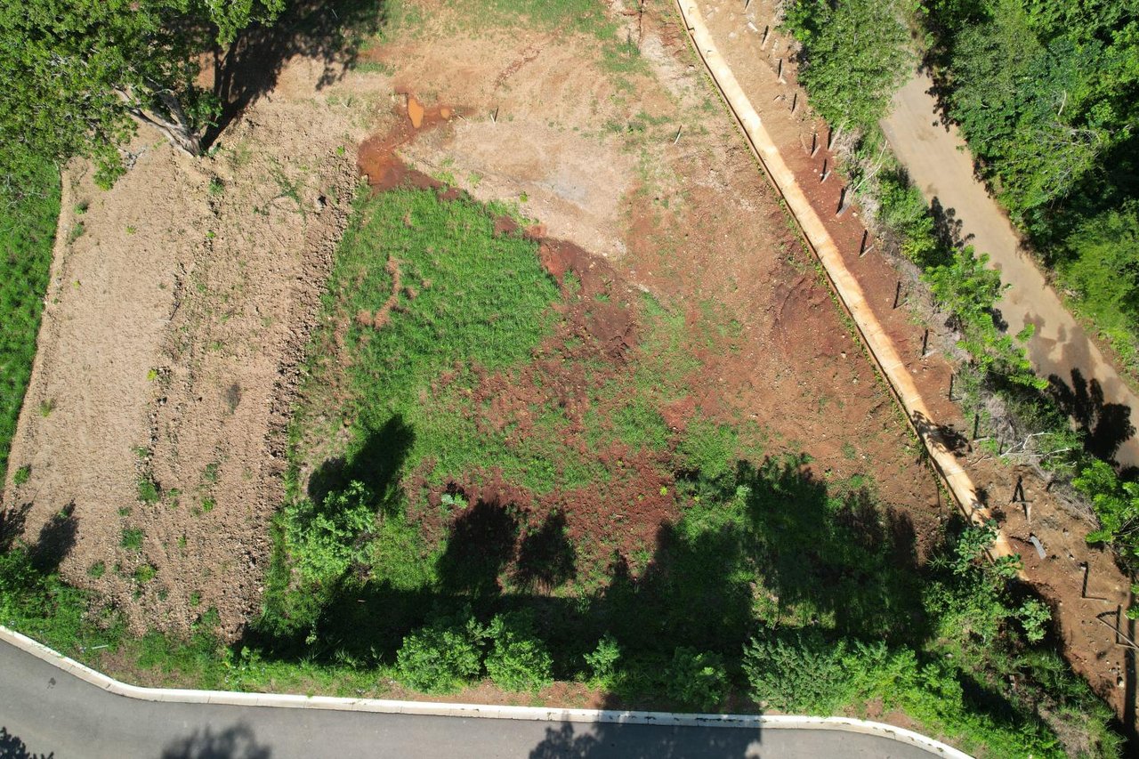 Alma Verde Lot #21 | Prime 846 m² Lot in Alma Verde – Gated Community Just Minutes from Tamarindo & Playa Flamingo
