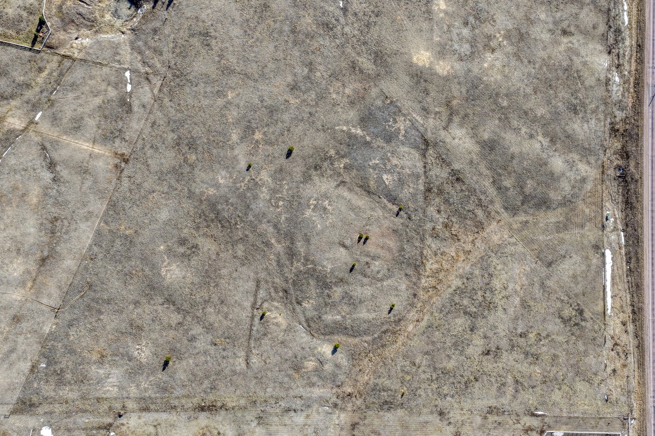 16670 Misfit Crew Heights