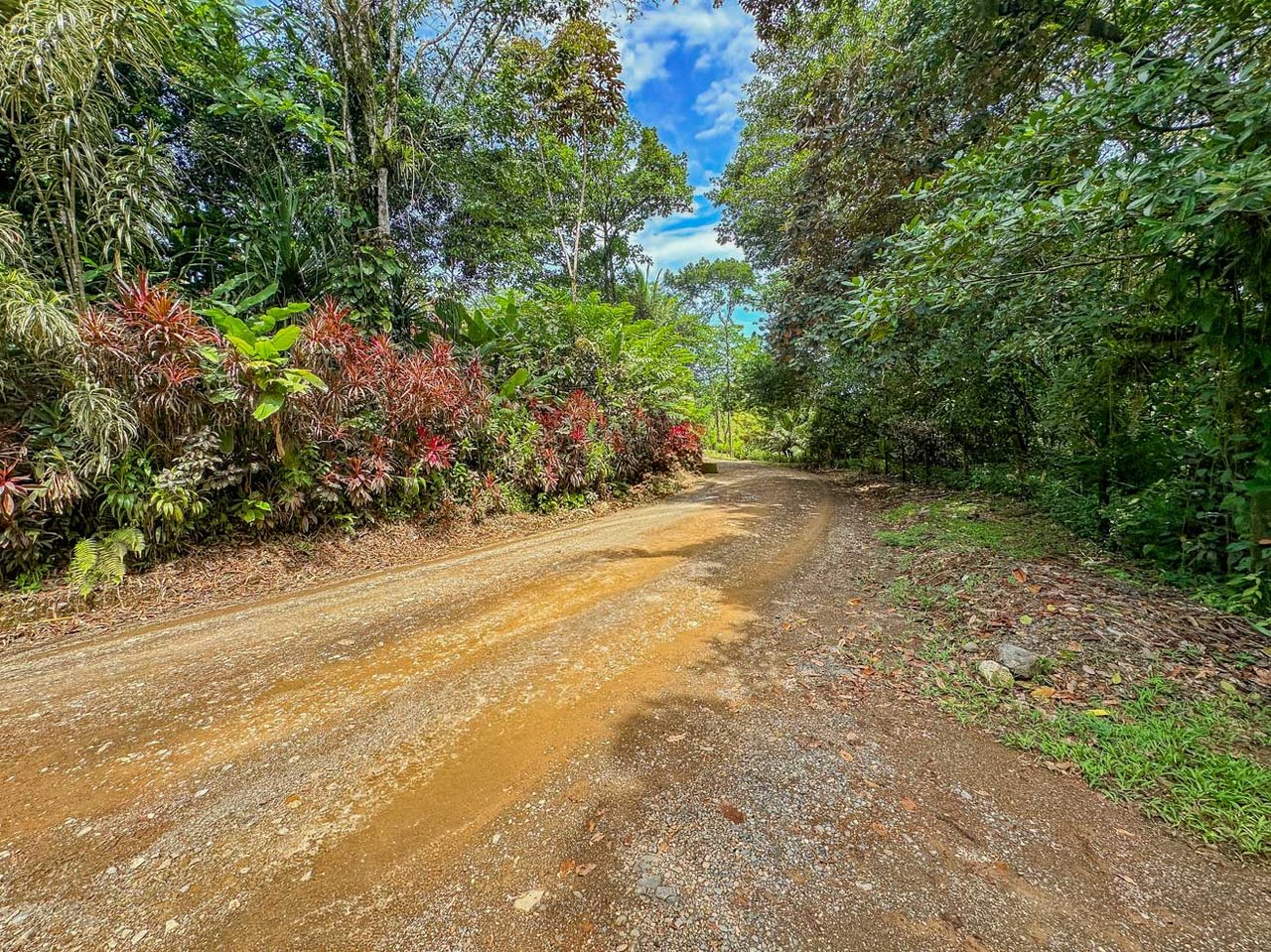Ojochal Jungle Retreat for Sale with River, Pool, and Income-Generating Casitas