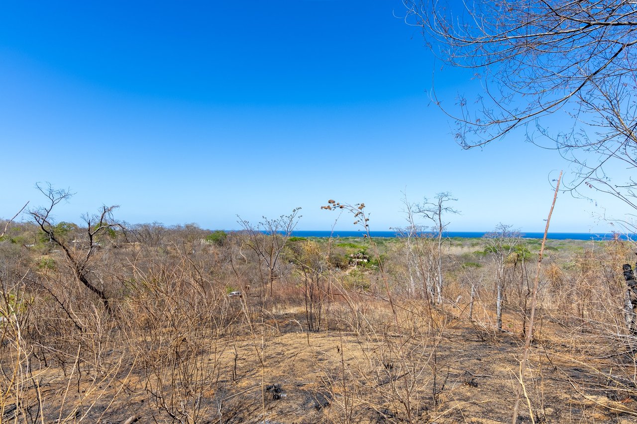 Finca Los Pargos Lot – Oceanview lot with water!, Playa Negra, Guanacaste