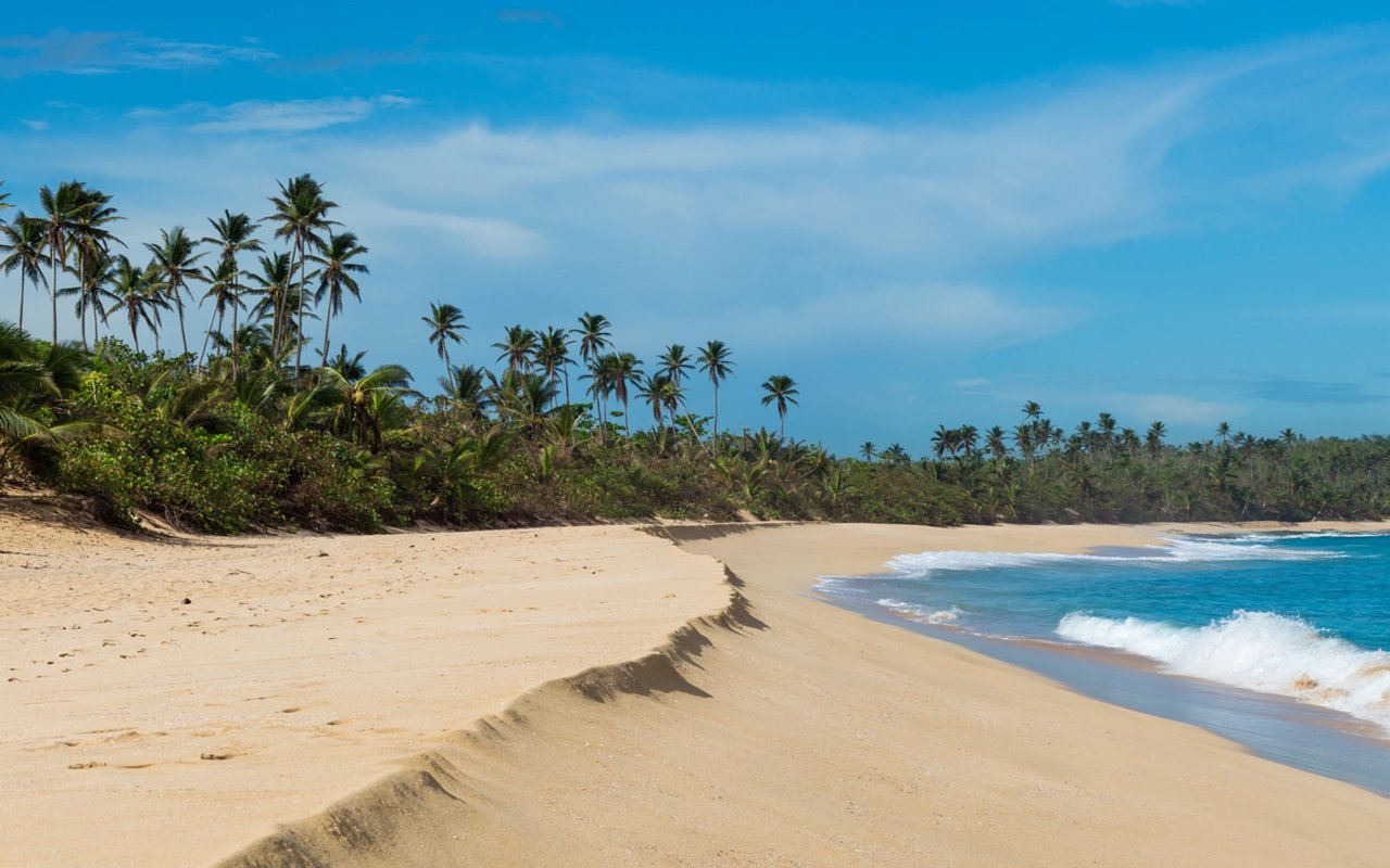 Goya Coconut Snapper