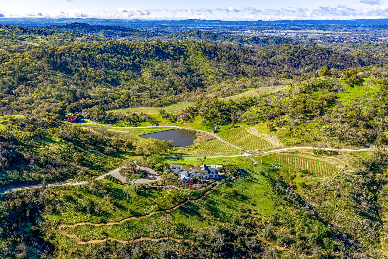 The Clearview Estate