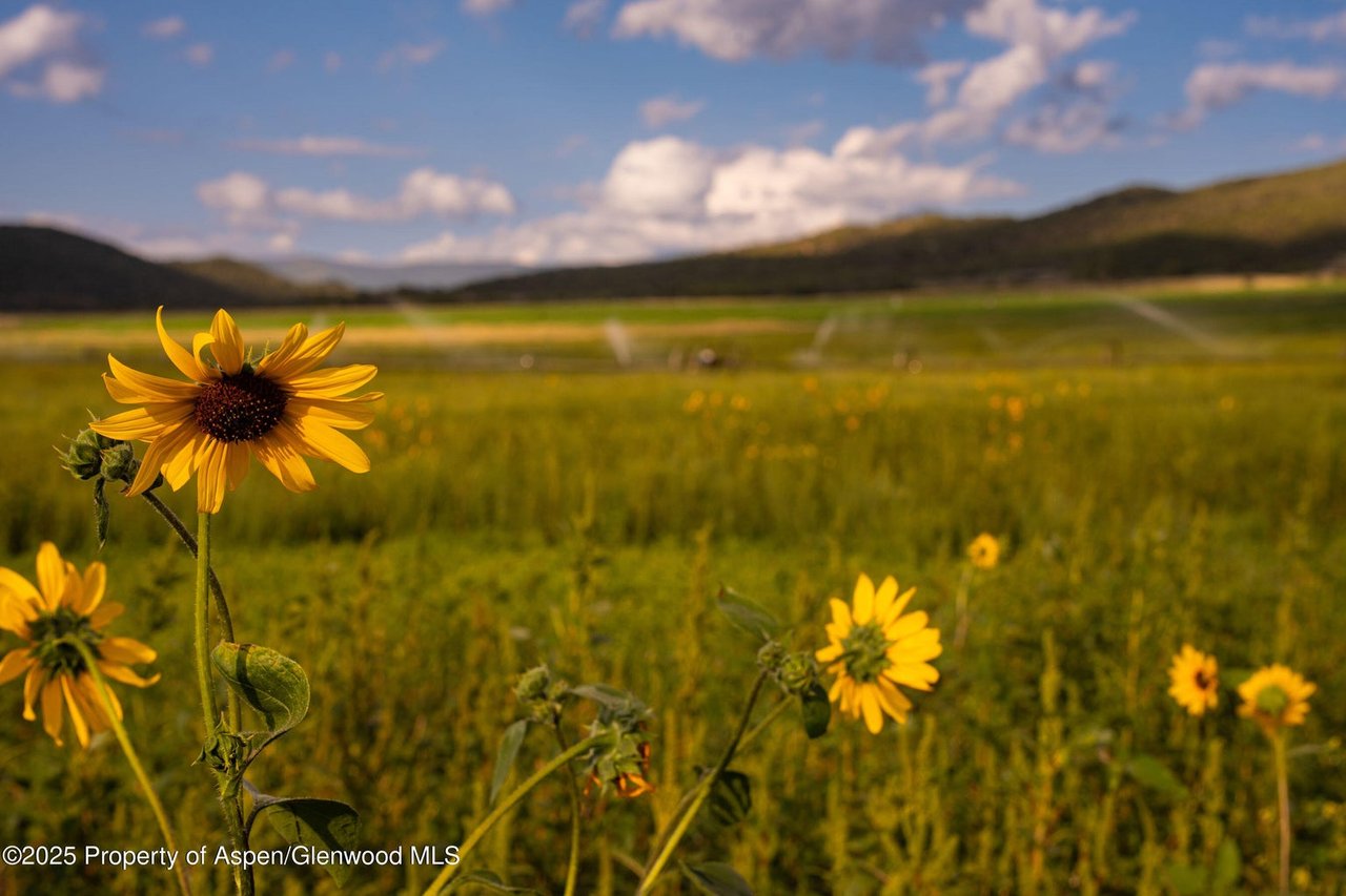 1644 Prince Creek Road