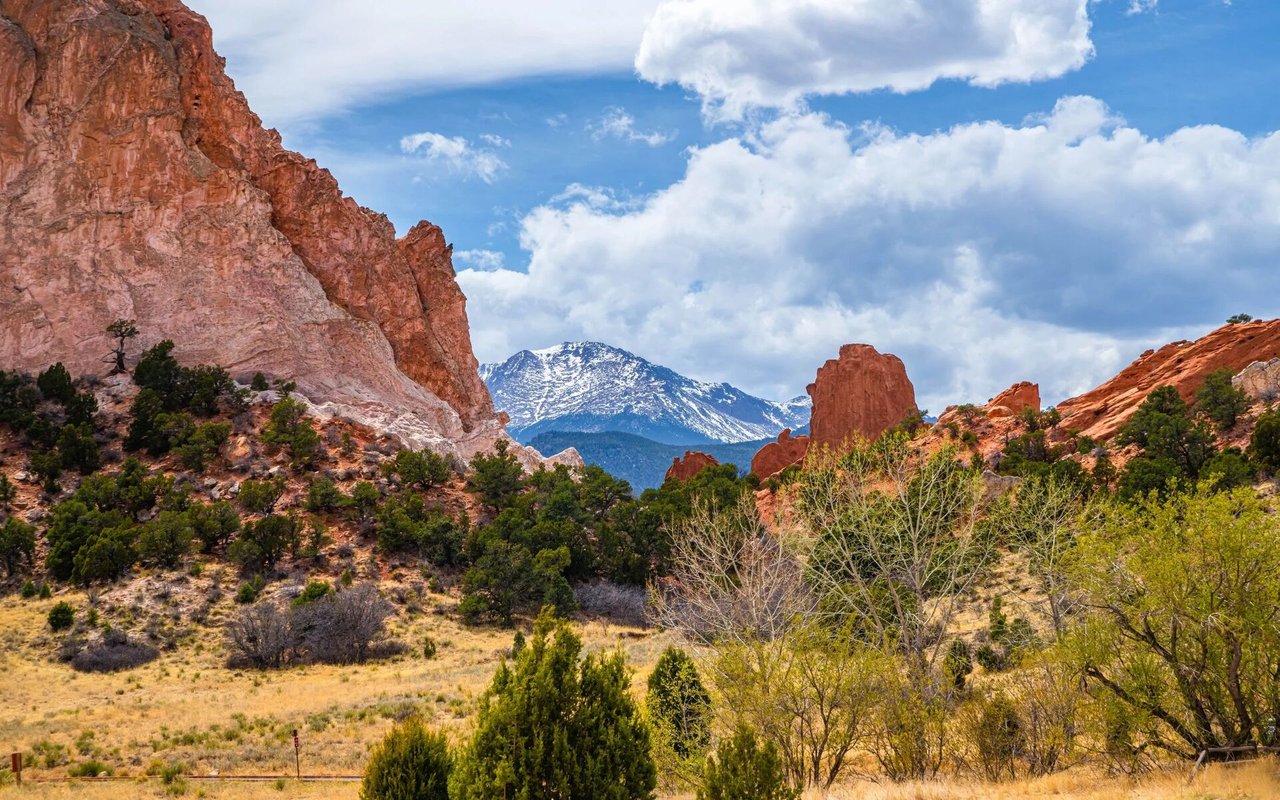 Discover the Beauty of Colorado Land for Sale with Land Broker Jerad Cotten