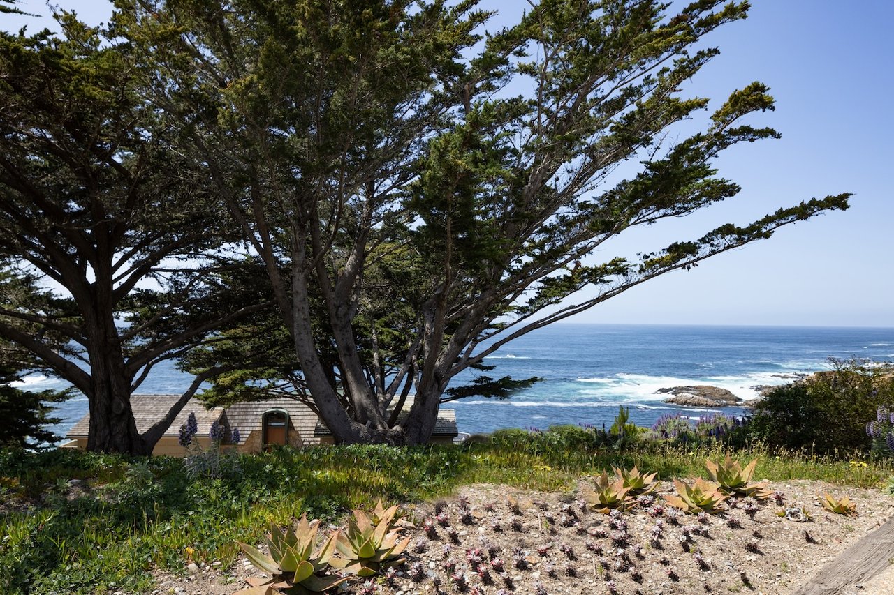Serenity by the Sea - 30530 Aurora Del Mar