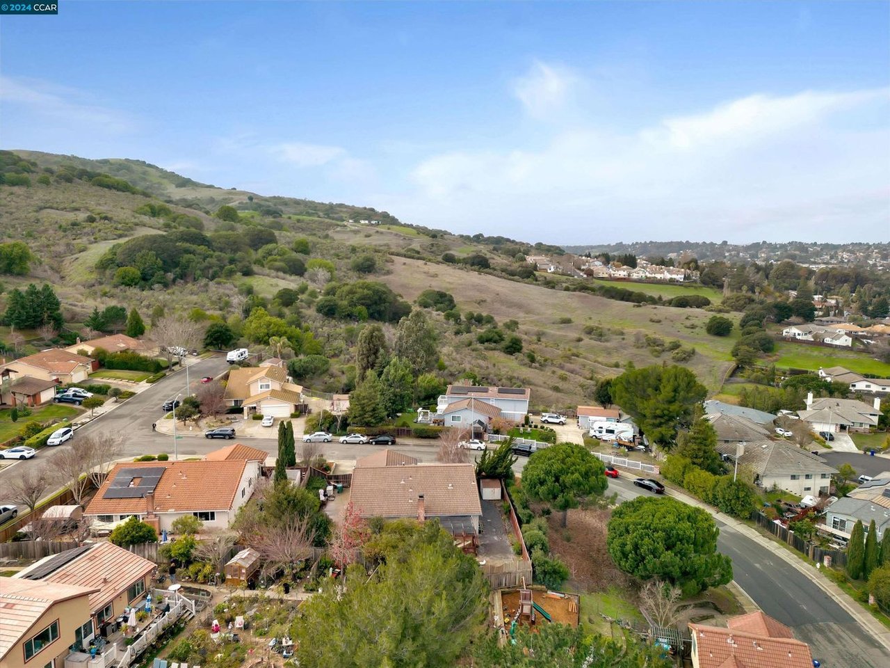 2216 Bristlecone Dr