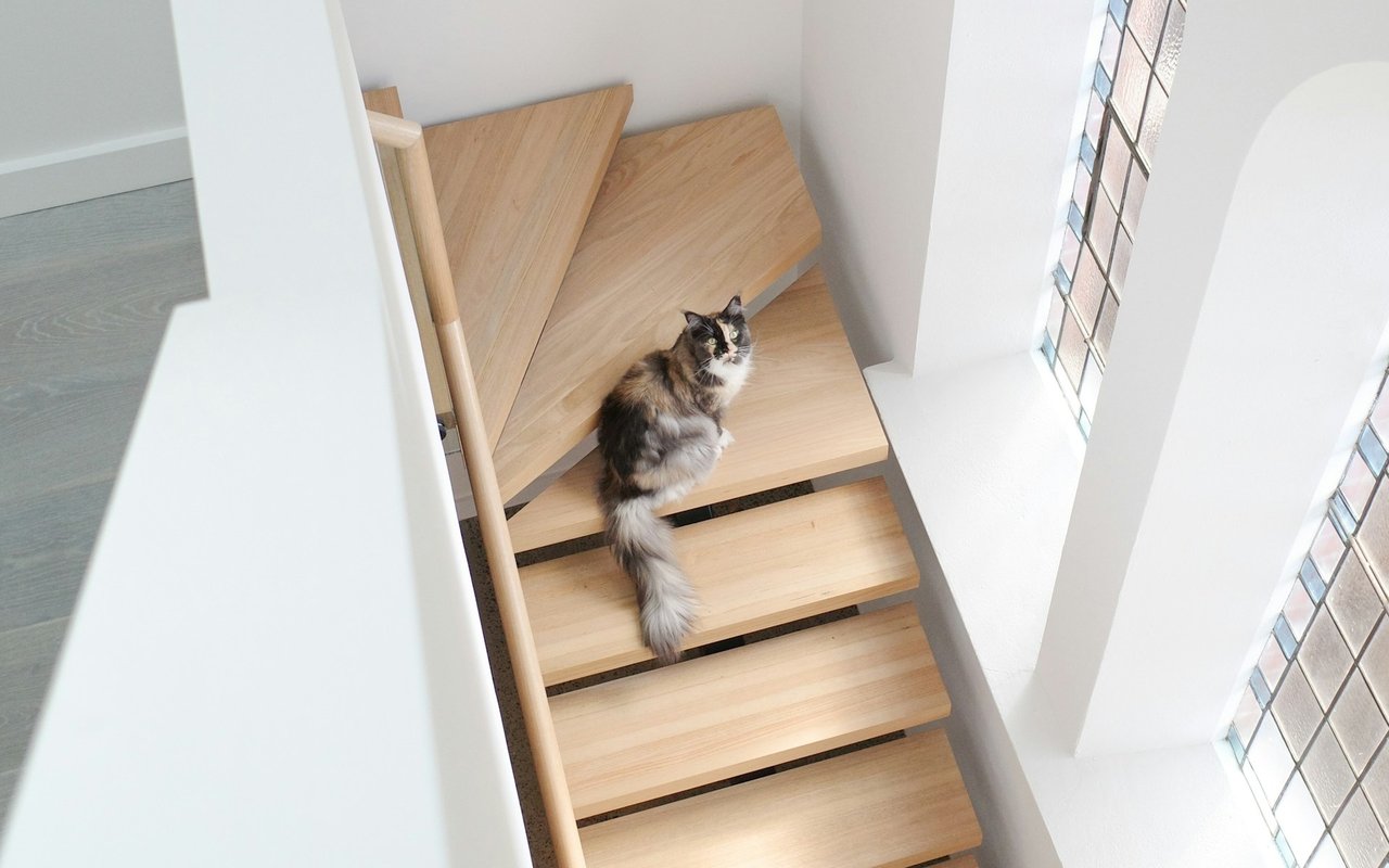 A Happy Tail: Pets and the Homebuying Process [INFOGRAPHIC]