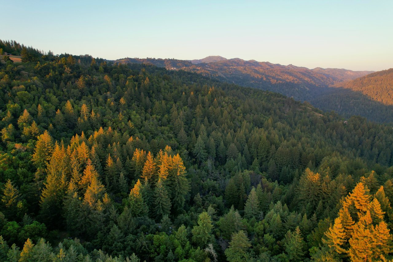 Soquel