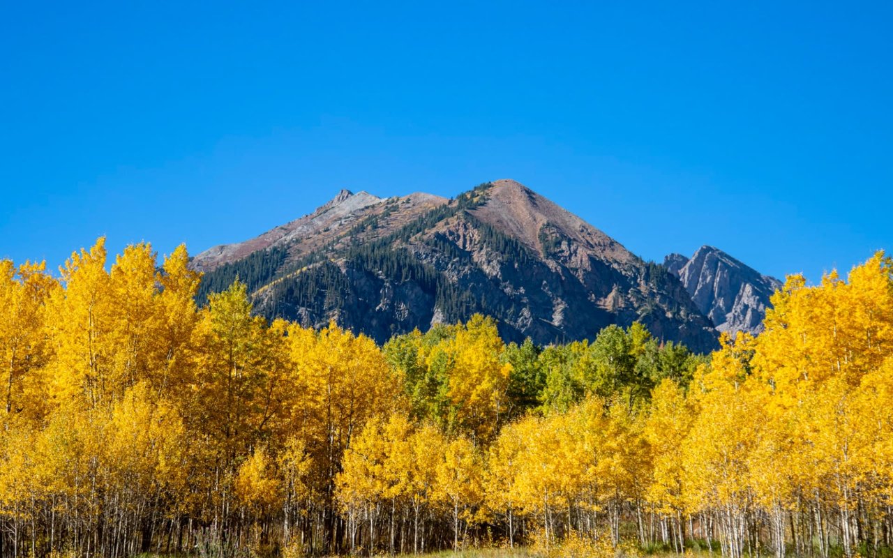 Year-Round Bliss: Discovering Aspen's Four-Season Appeal