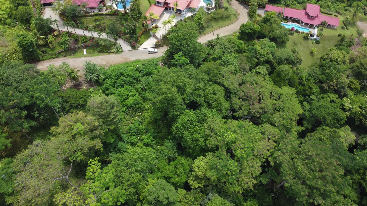 Ojochal - 1 Acre Ready To Build Jungle Lot, Ocean Breezes in Wildlife Corridore