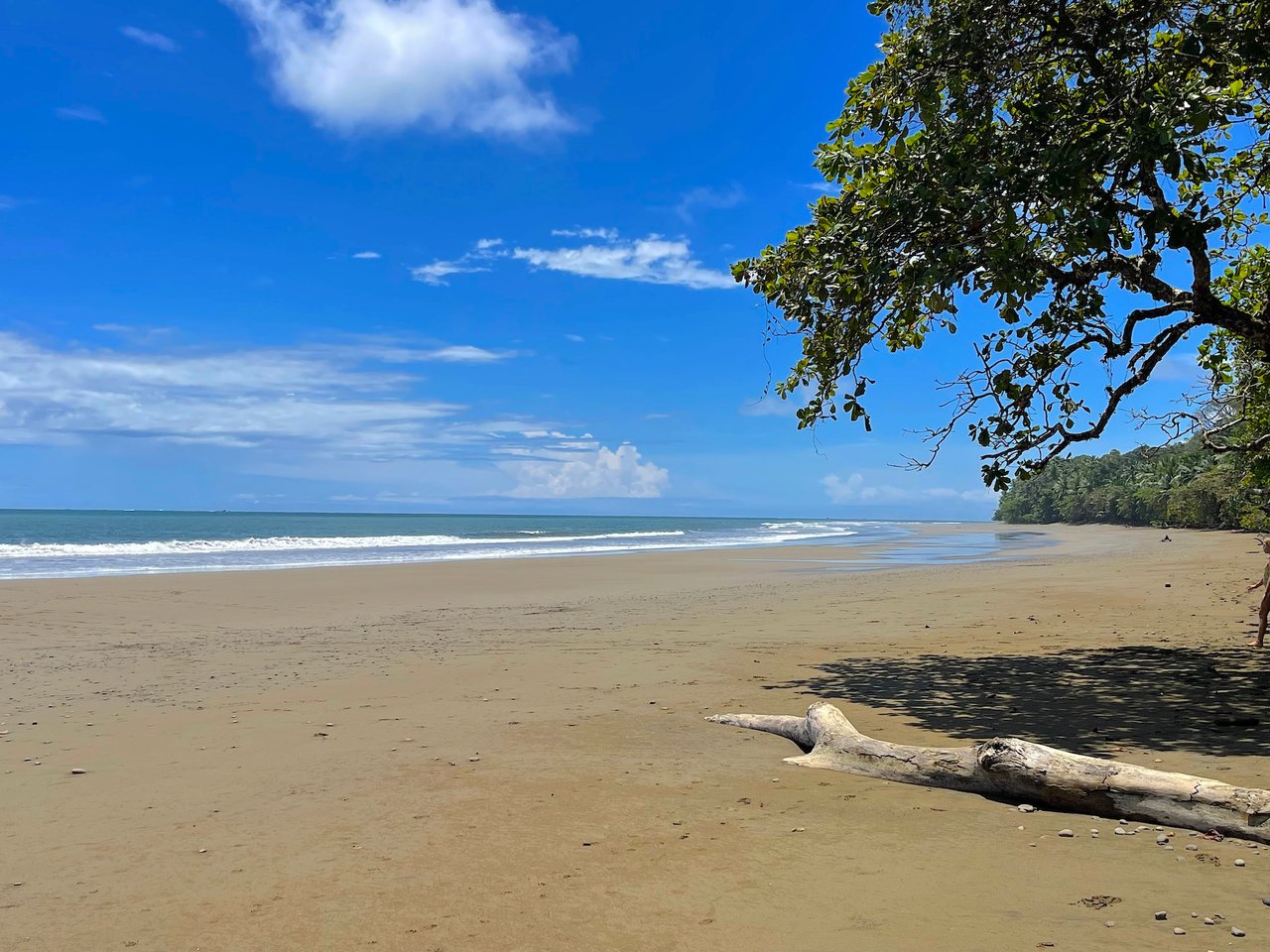 ELAN GROUND FLOOR 2 BEDROOM CONDO WITH BEACH ACCESS. UNIT 4E