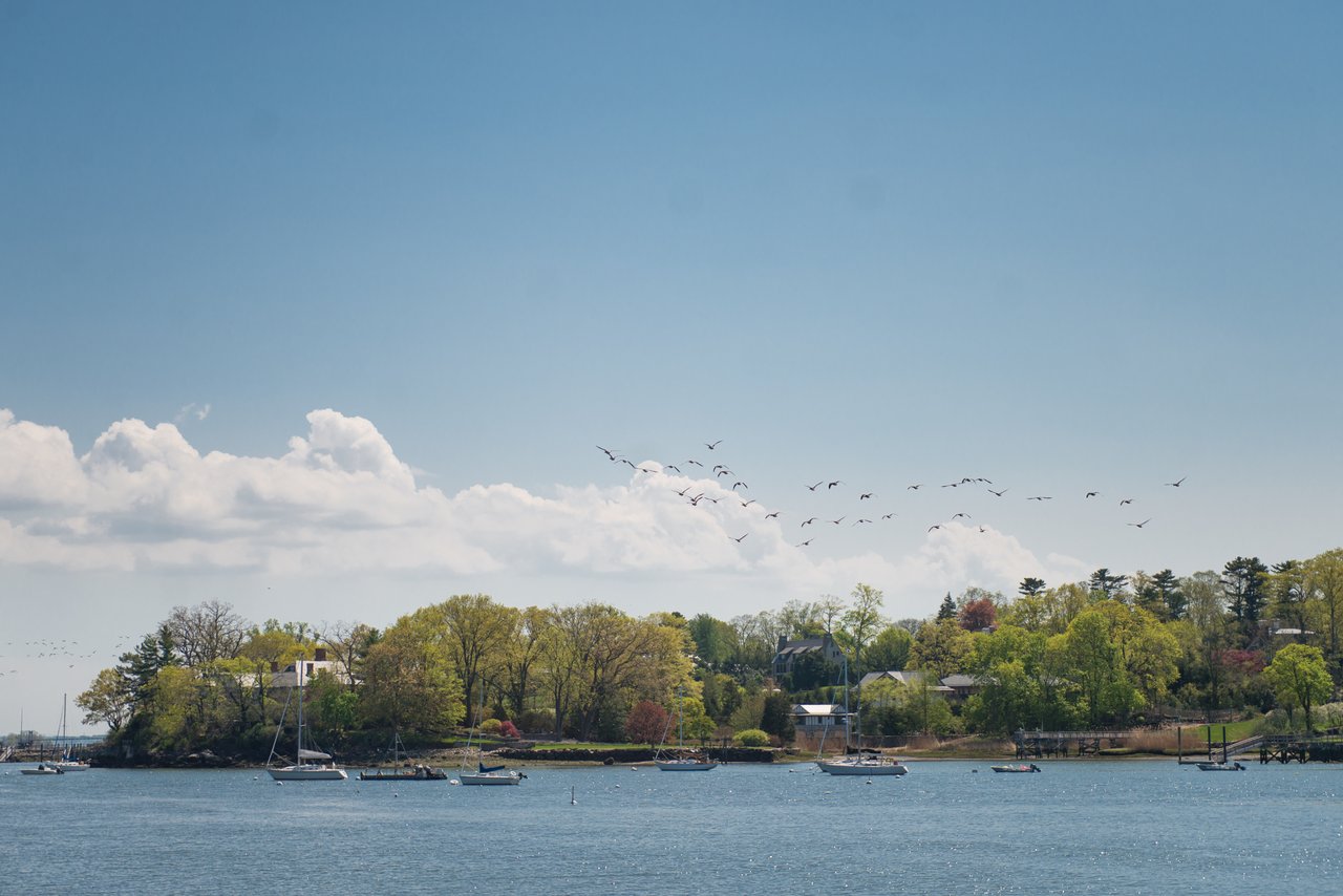 Family, Food, and Philanthropy: The Greenwich Wine + Food Festival
