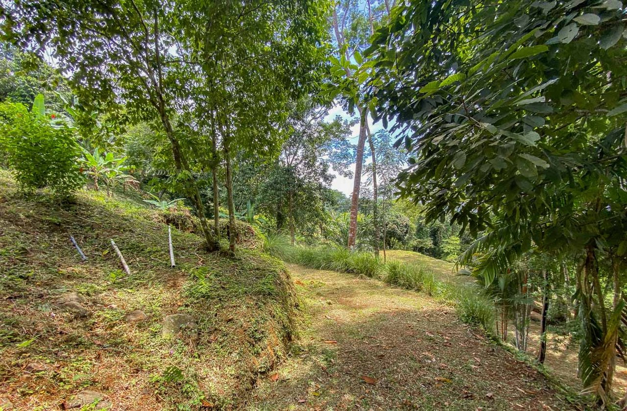 Large Uvita Lot With Whale’s Tail Ocean Views, Sunsets & Legal Water – Ready to Build!