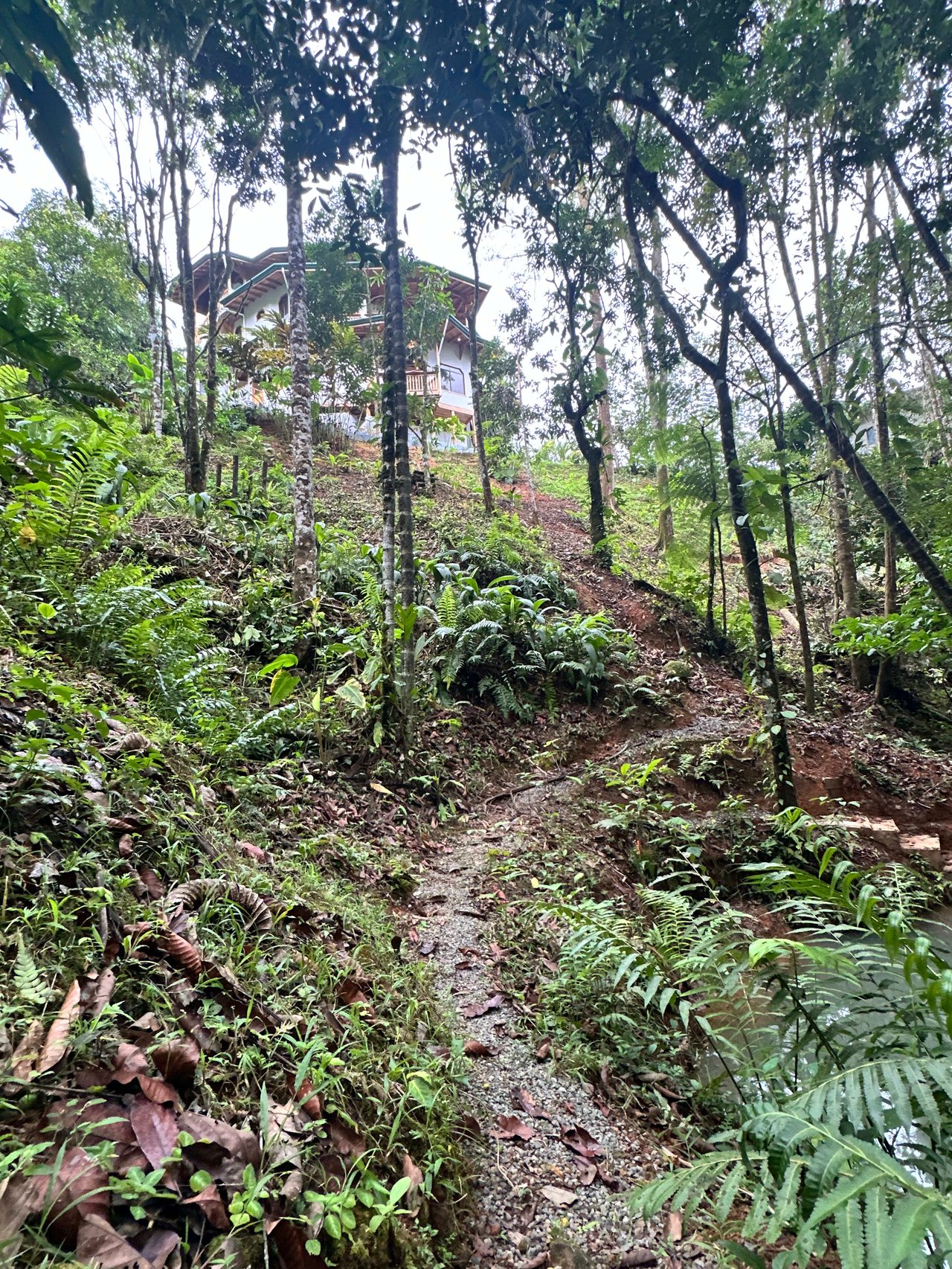 Discover the Charm of an Exotic Home in Las Tumbas, Costa Rica