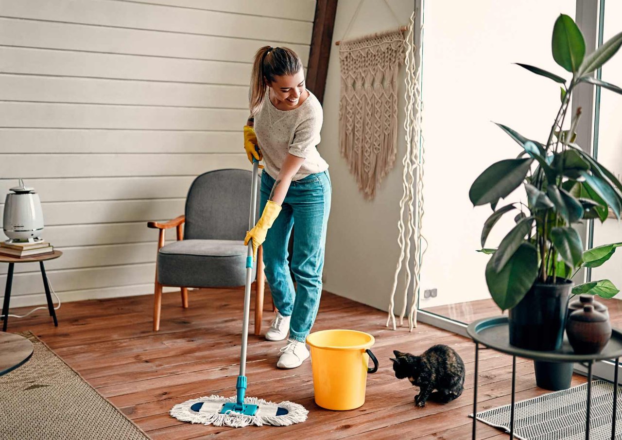 Spring Cleaning Goes Green: Non-Toxic Products & DIY Hacks for a Healthier Home