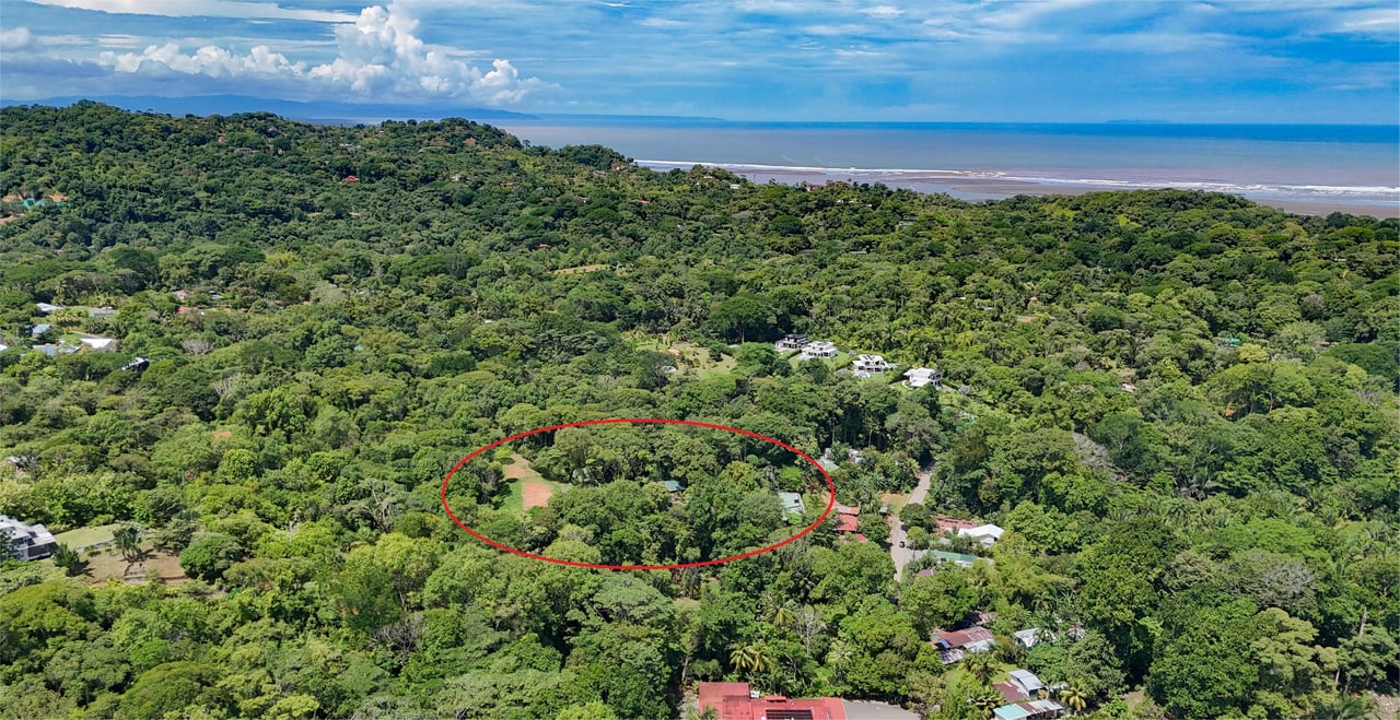 Ojochal Property for Sale – Cabins, Restaurant & 3-Bed Home