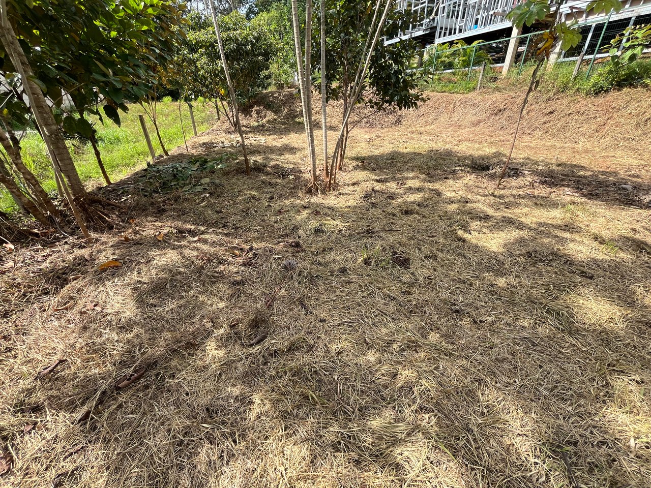 Affordable Uvita Lot UNDER $200-per-sqm - Perfect for Your Dream Home or Airbnb Investment