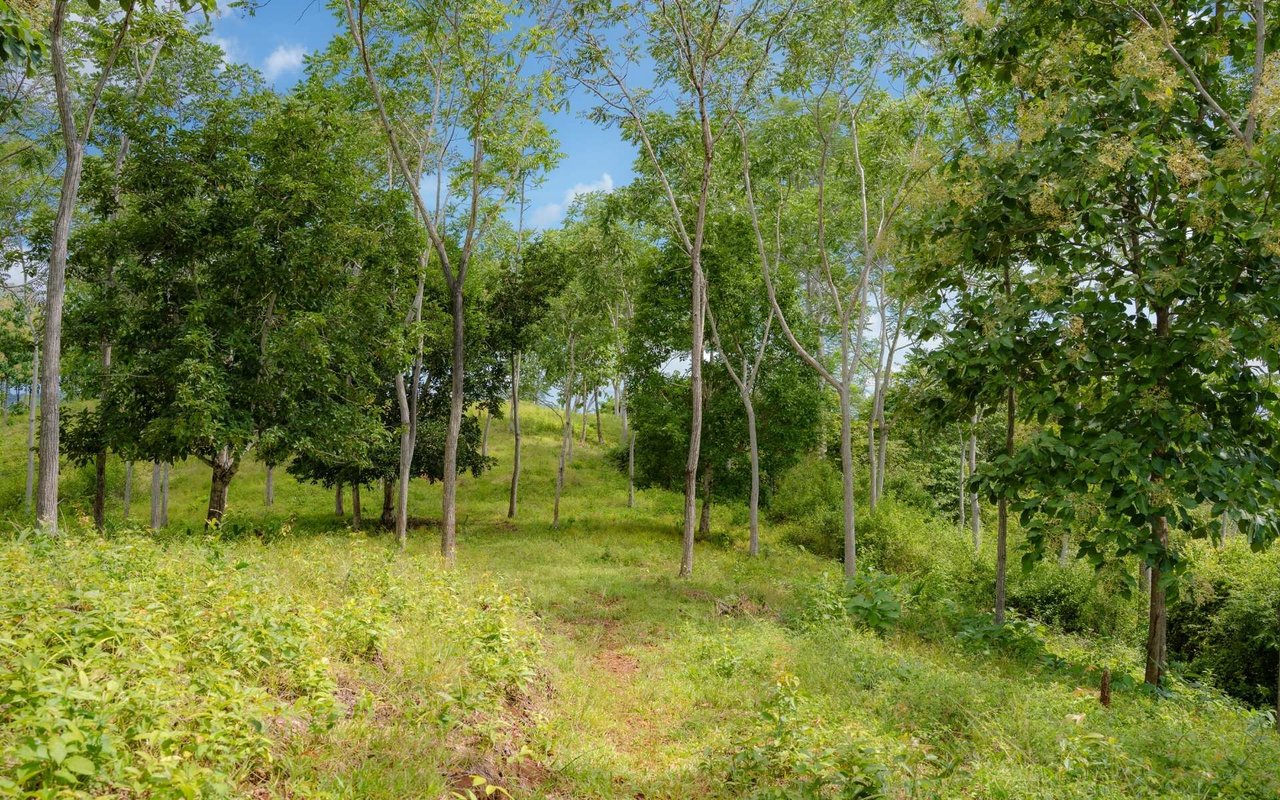 Ocean View Ridge Farm | 135-Acre Estate Near Playa Hermosa, Jacó