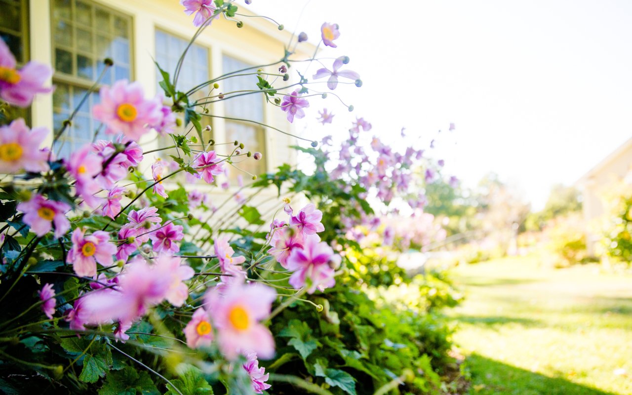 Homebuyer Activity Shows Signs of Warming Up for Spring