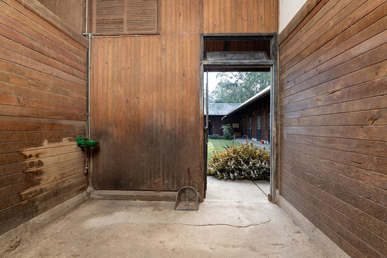 Equestrian Estate in Lavra with 13,000 m² just 800 Meters from the Beach