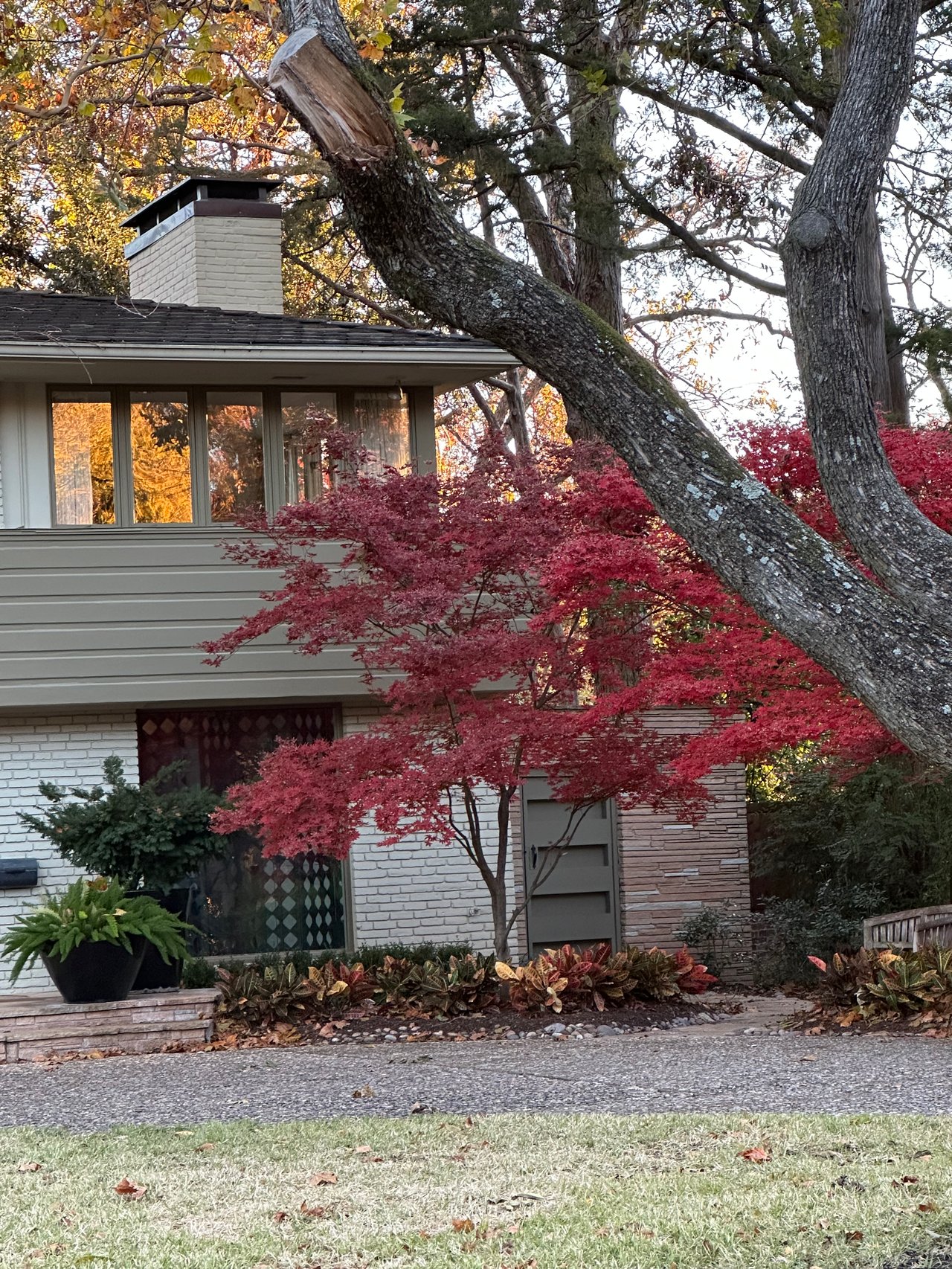 Very Colorful Outdoor Photo of Beautiful Reds and Golds