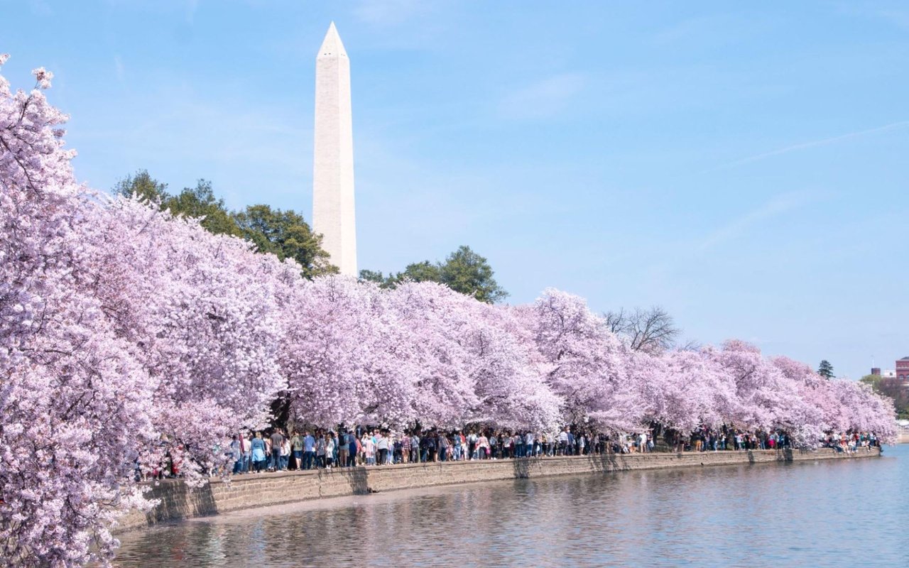  A low-angle, full shot of the Washington Monument, a tall white obelisk