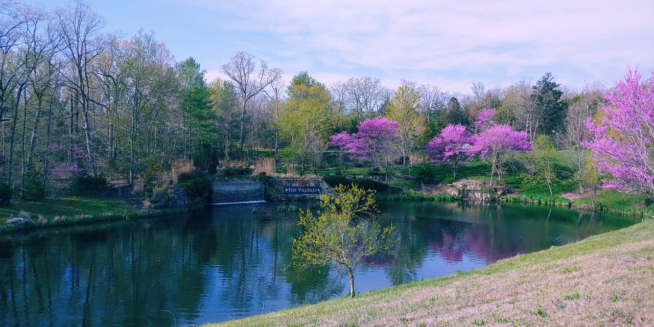 A scenic park scene with a pond reflecting the clear blue sky