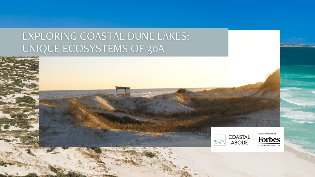 Exploring Coastal Dune Lakes: Unique Ecosystems of 30A