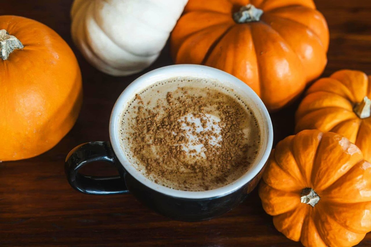 The Best Pumpkin Spice Lattes and Sweet Treats in Sonoma County