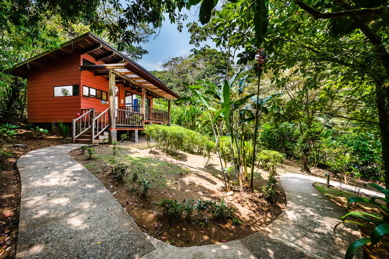 Casitas Tenorio B&B | Turnkey Eco-Lodge in Bijagua, Profitable Business, Sustainable Luxury, and Breathtaking Nature