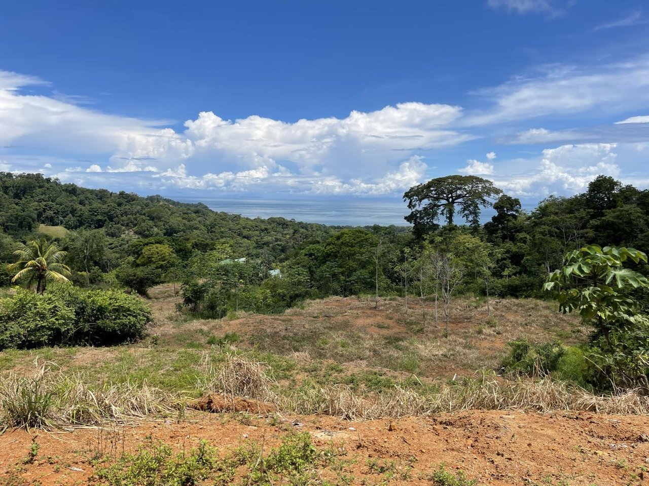 15.9 ACRES – Ocean View Development Property With Legal Water, Public Road, 5 Min From Highway!