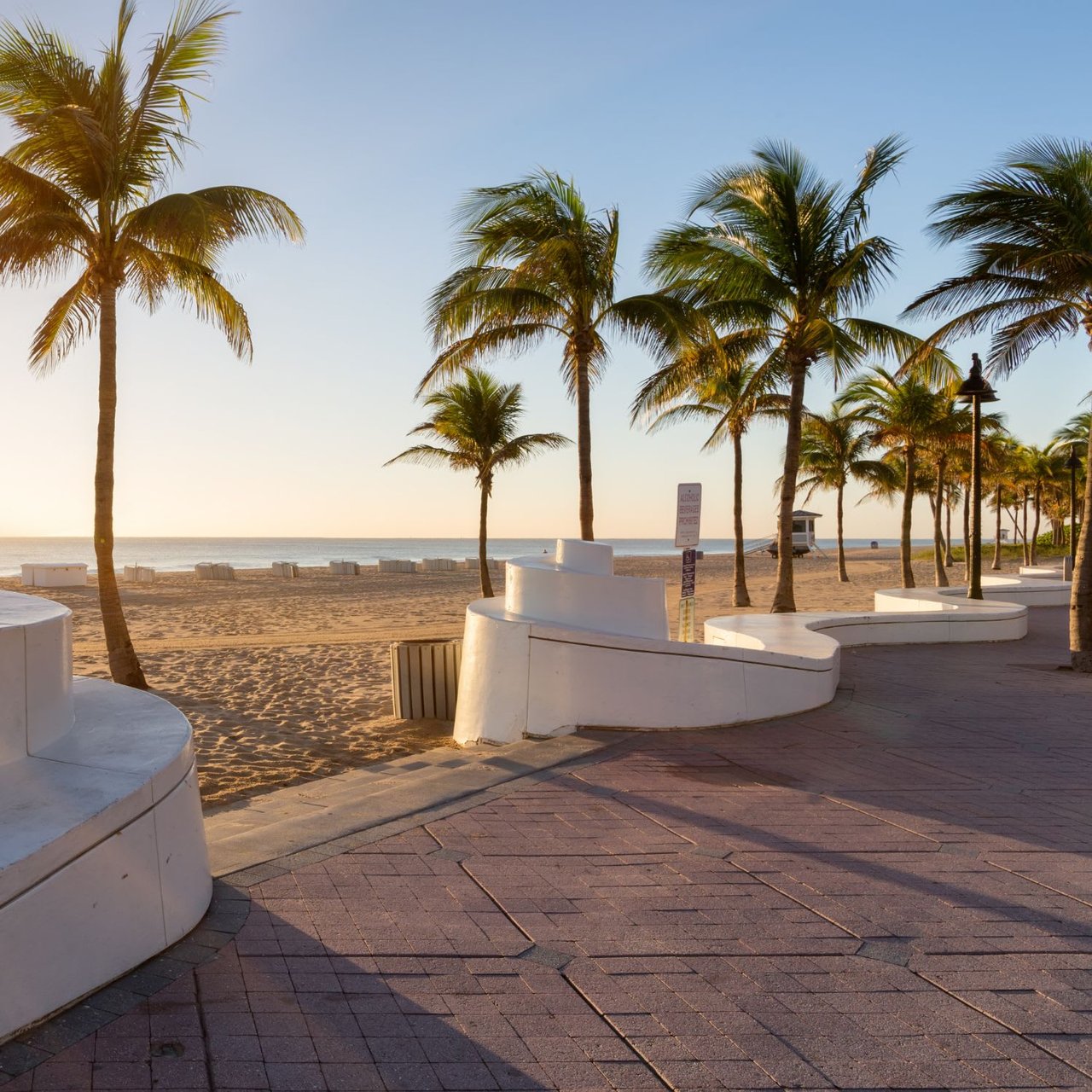Numerous palm trees line the edge of the boardwalk and beach