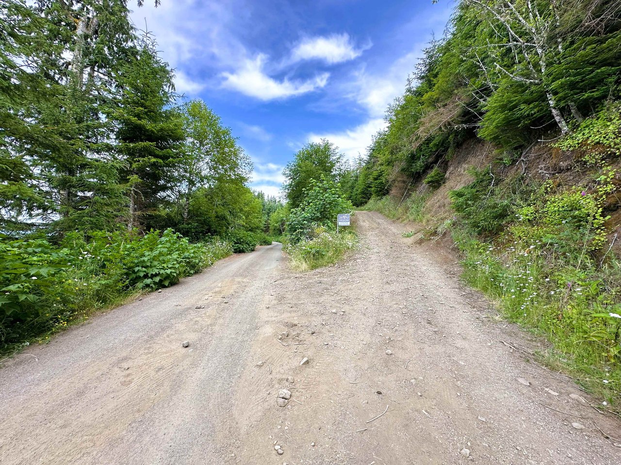 Cummins Creek Wilderness Overlook