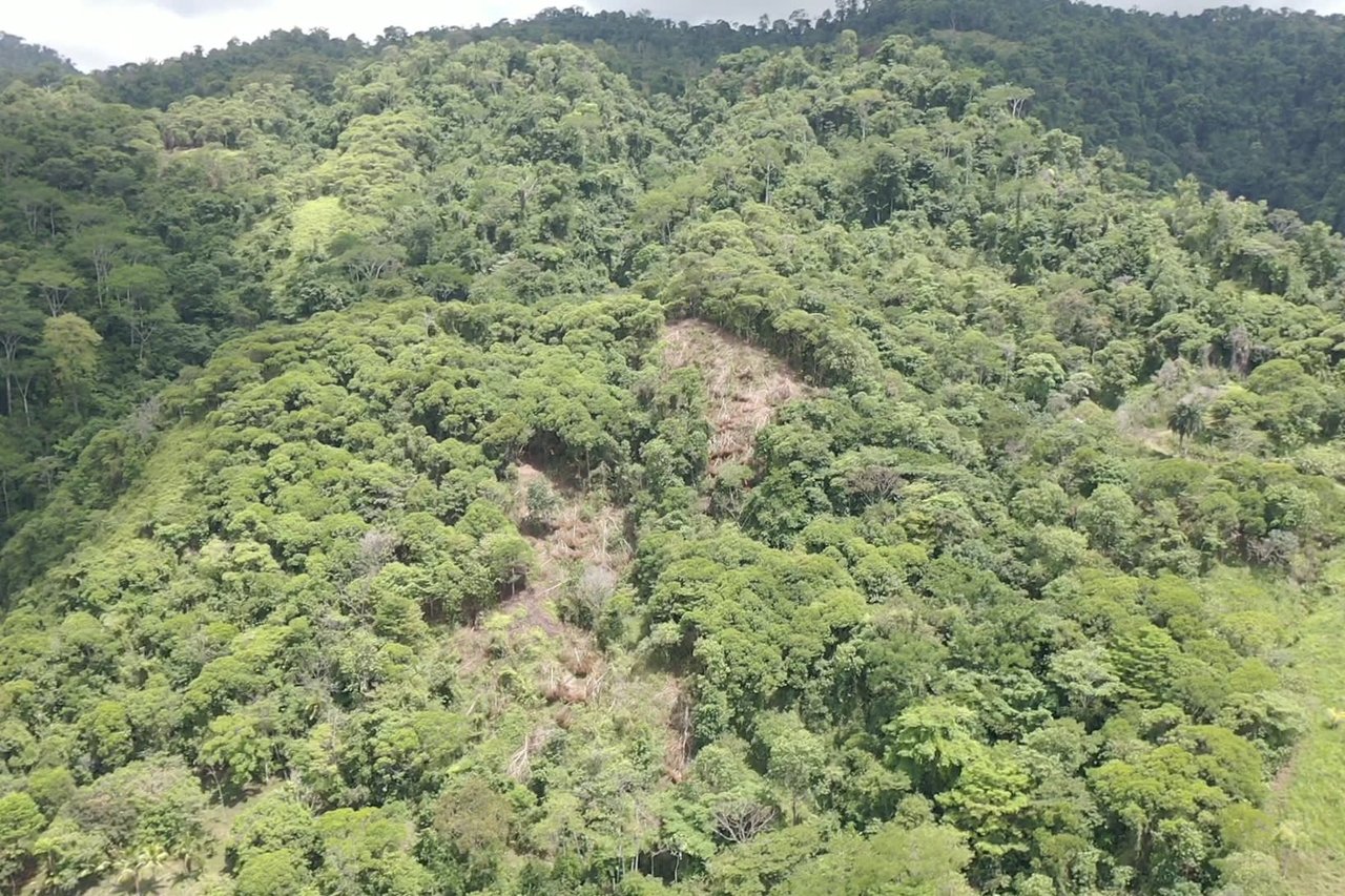 42 Acres With Waterfalls, Ocean Views & Multiple Building Sites Sliencio Ariba