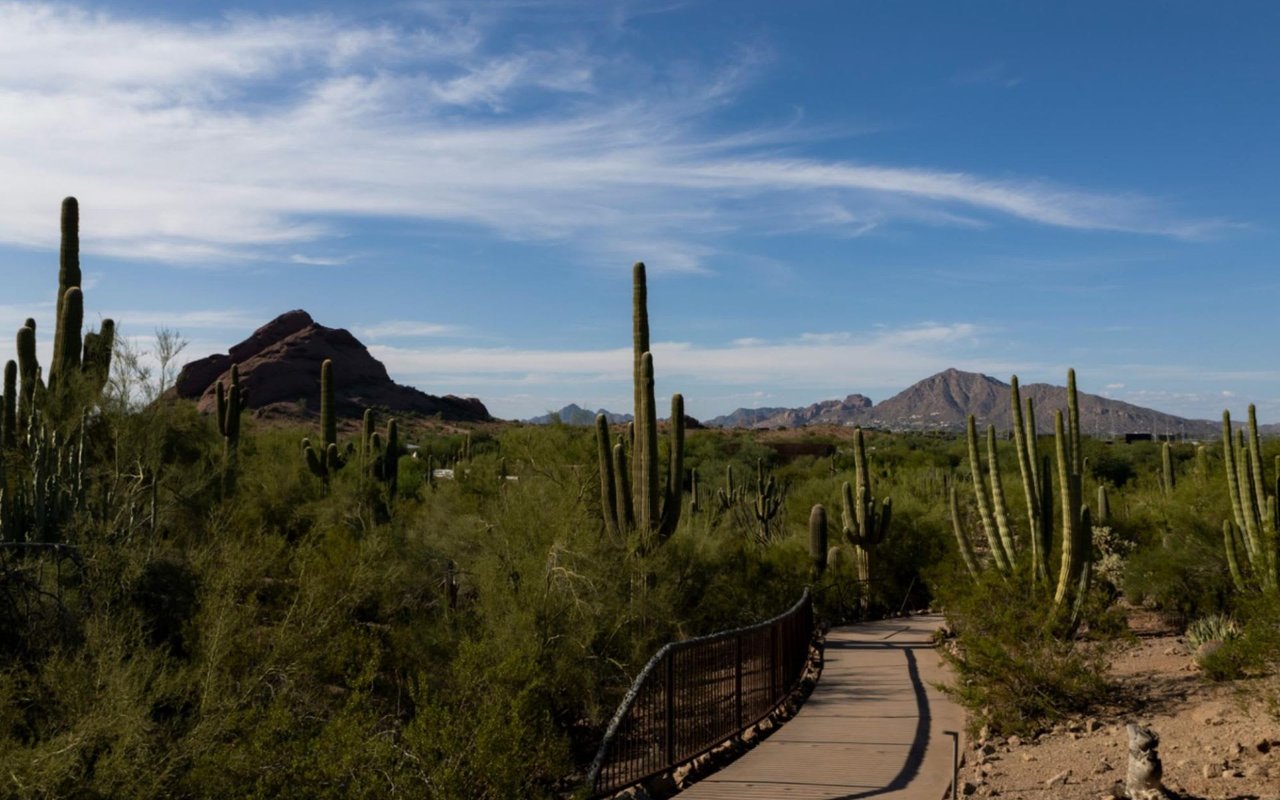 Family-Friendly Fun: Kid-Friendly Activities and Attractions in Scottsdale