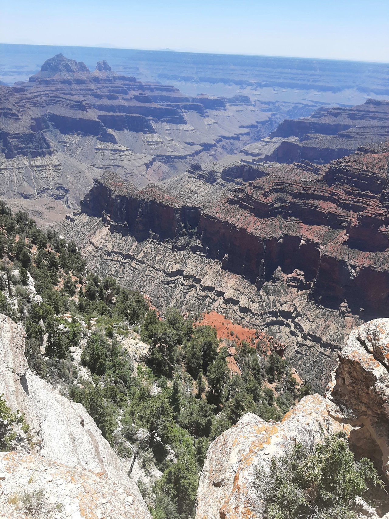 National Parks Trip with Ella and Herc