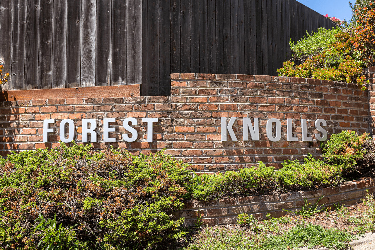 Forest Knolls