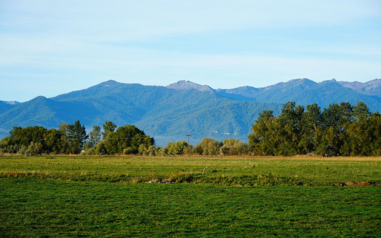 San Lorenzo Valley