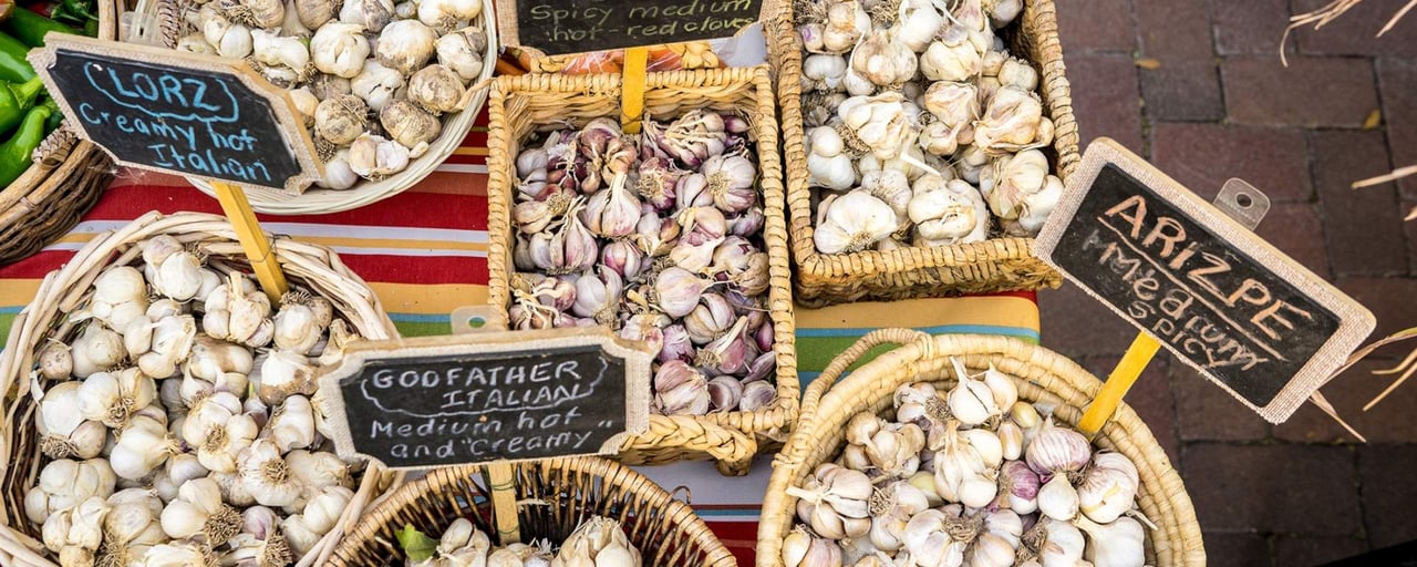 A City of Gastronomy in Tucson AZ