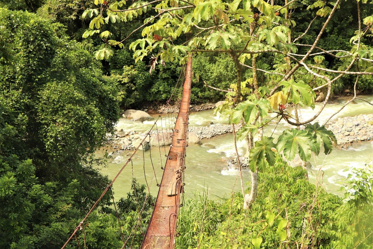Riverfront Forest Farm, Perez Zeledon, San Jose