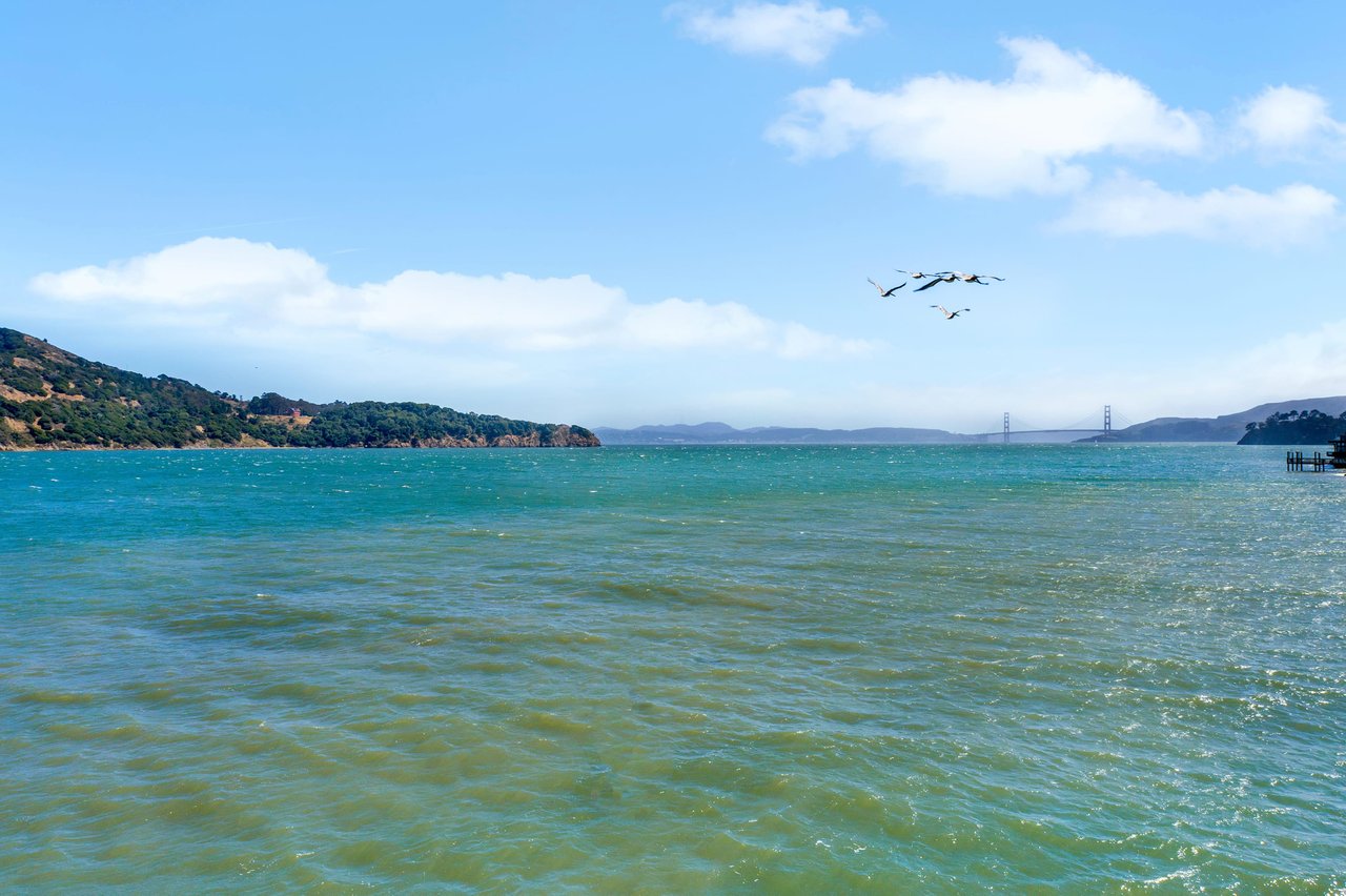 Incredible Private Beach Home with GG Bridge Views- Represented Buyer
