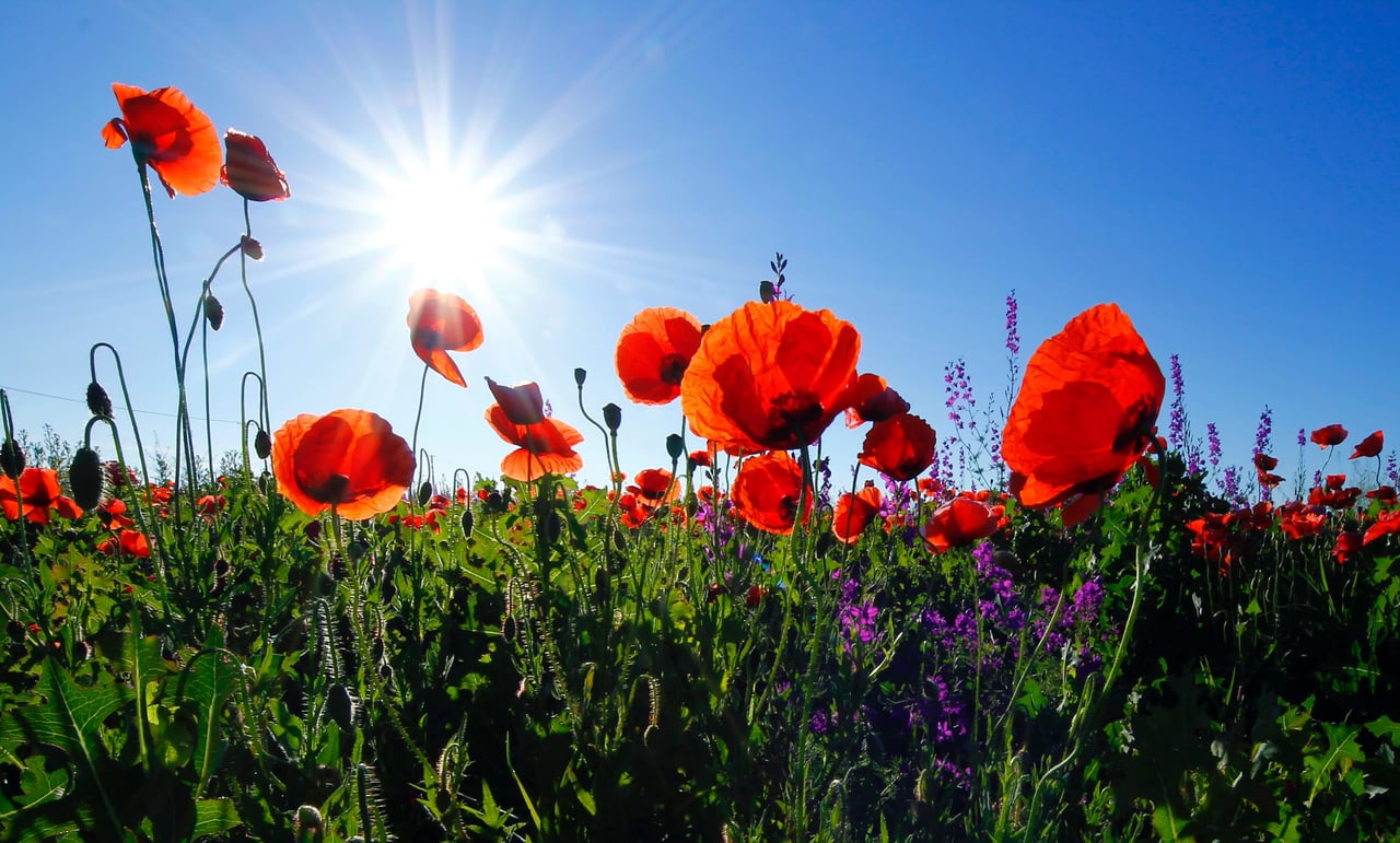 Spring Forward into April